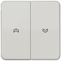 Лицевая панель Jung CD500 для 2-кл. выключателя жалюзи светло-серый картинка